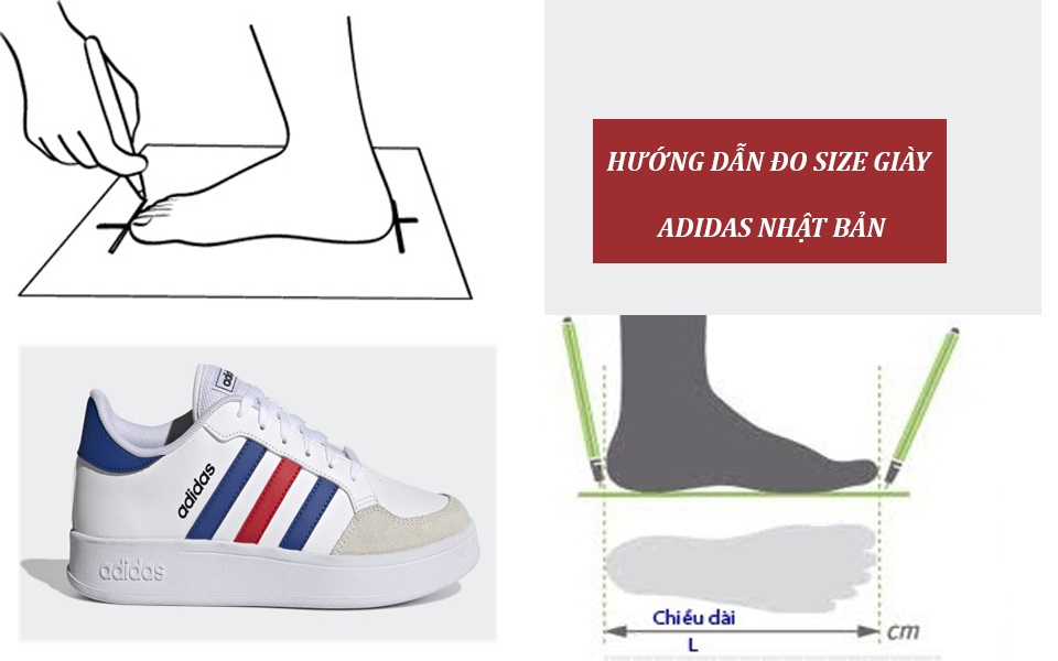 Bảng size giày Adidas Nhật Bản vừa chân, chuẩn xác nhất