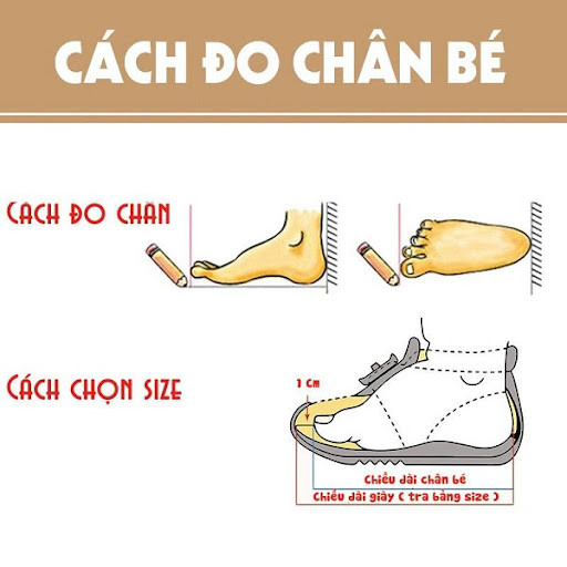Cách quy đổi size giày HM Kid Việt Nam chính xác