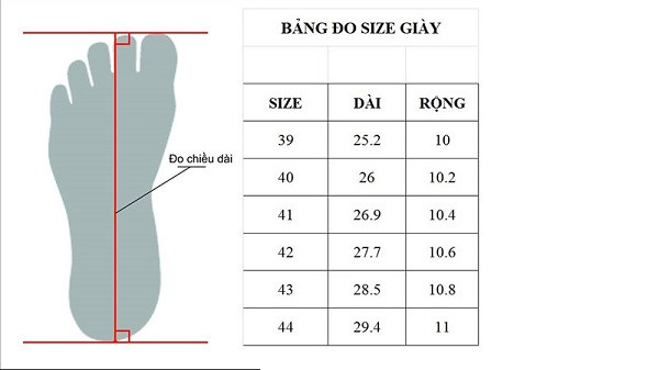 cách đo size giày nữ
